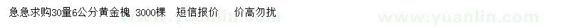 求購30量6公分黃金槐