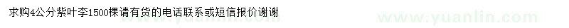 求購4公分紫葉李