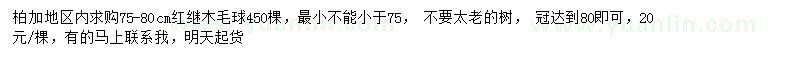 求購75-80公分紅繼木毛球