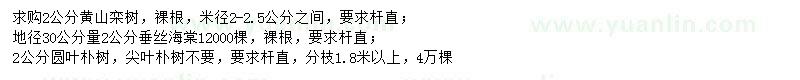 求購黃山欒樹、垂絲海棠、圓葉樸樹