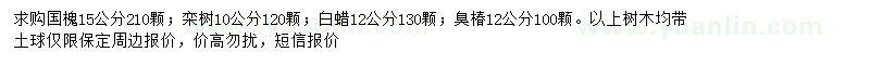 求購國槐、欒樹、白蠟等