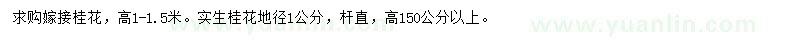 求購高1-1.5米桂花