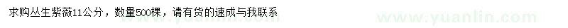 求購(gòu)11公分叢生紫薇