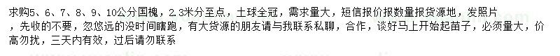 求購5-10公分國槐