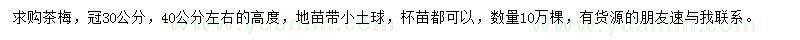 求購冠30公分茶梅