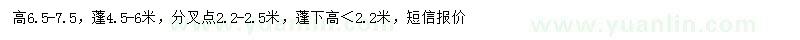 求購胸徑25公分樸樹
