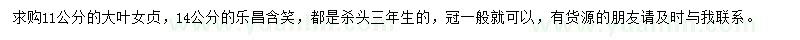 求購(gòu)11公分大葉女貞、14公分樂(lè)昌含笑