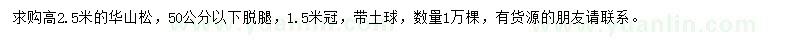 求購(gòu)高2.5米華山松