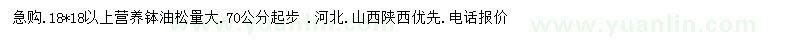 求購油松小苗