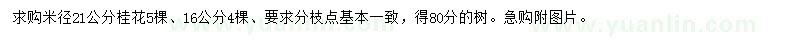 求購米徑16、21公分桂花