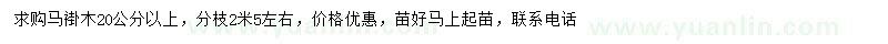 求購(gòu)20公分以上馬褂木
