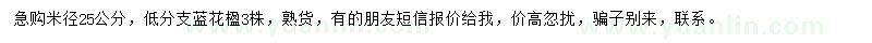 求購(gòu)米徑25公分藍(lán)花楹