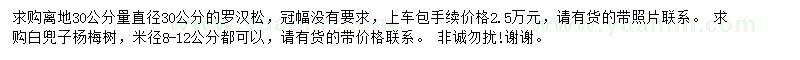 求購(gòu)30公分量30公分羅漢松、米徑8-12公分楊梅樹(shù)