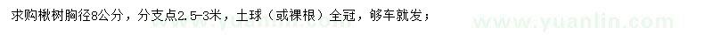 求購胸徑8公分楸樹