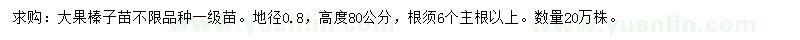求購地徑0.8公分大果榛子小苗