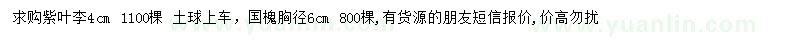 求購4公分紫葉李、6公分國槐