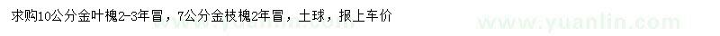 求購(gòu)10公分金葉槐、7公分金枝槐
