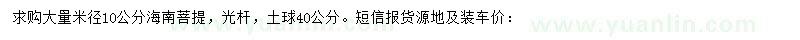 求購米徑10公分海南菩提