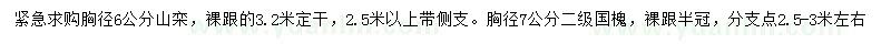 求購胸徑6公分山欒、胸徑7公分國槐