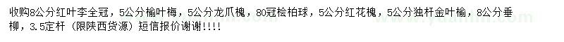 求購紅葉李、榆葉梅、龍爪槐等