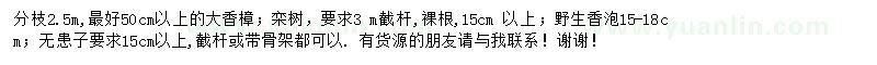 求購(gòu)香樟、欒樹(shù)、香泡
