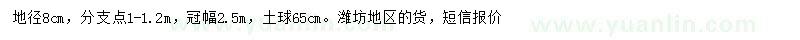 求購單櫻