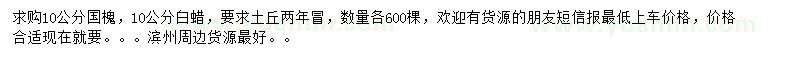 求購10公分國槐、白蠟