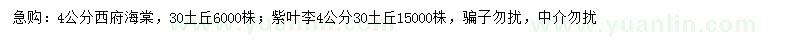 求購4公分西府海棠、紫葉李