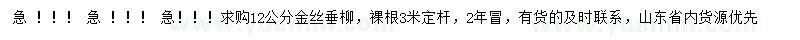 求購12公分金絲垂柳
