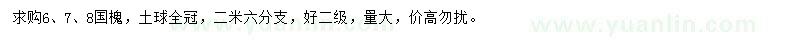 求購6、7、8公分國槐