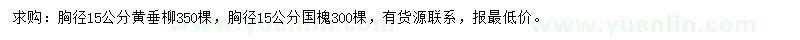 求購胸徑15公分黃垂柳、國槐
