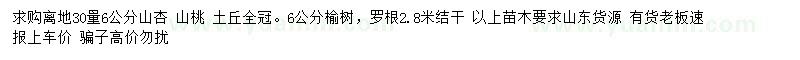 求購山杏、山桃、榆樹