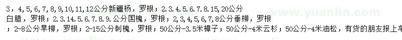 求購新疆楊、白蠟、國槐等