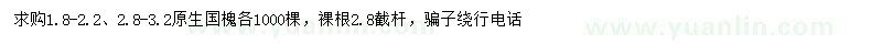 求購國槐