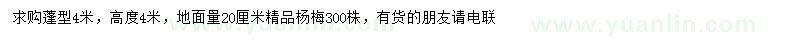 求購(gòu)高4米楊梅樹