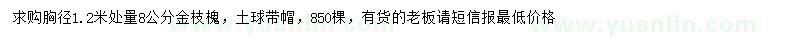 求購胸徑1.2米處量8公分金枝槐