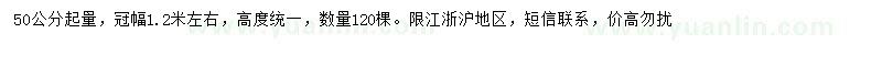 求購7公分龍爪槐