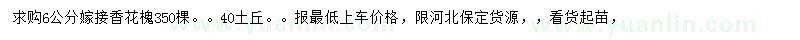 求購6公分香花槐