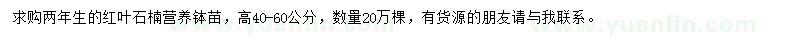 求購高40-60公分紅葉石楠小苗