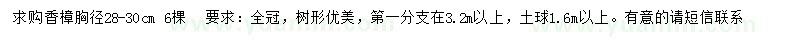 求購28-30公分香樟