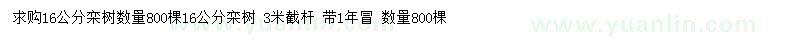 求購16公分欒樹