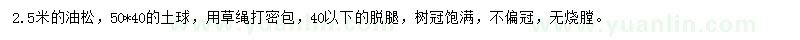 求購(gòu)2.5米油松