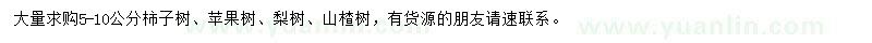 求購柿子樹、蘋果樹、梨樹等