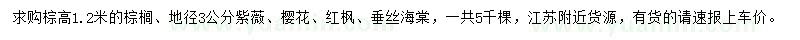 求購棕櫚、紫薇、櫻花等