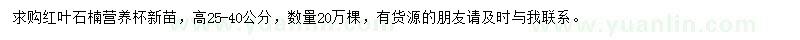 求購高25-40公分紅葉石楠小苗