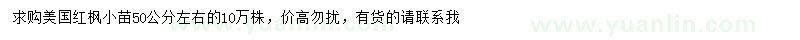 求購50公分左右美國紅楓