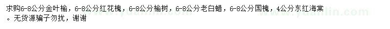 求購(gòu)金葉榆、紅花槐、榆樹(shù)等