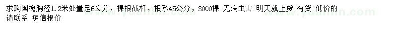 求購(gòu)1.2米處量6公分國(guó)槐
