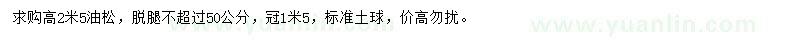 求購高2.5米油松