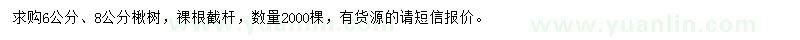 求購6、8公分楸樹